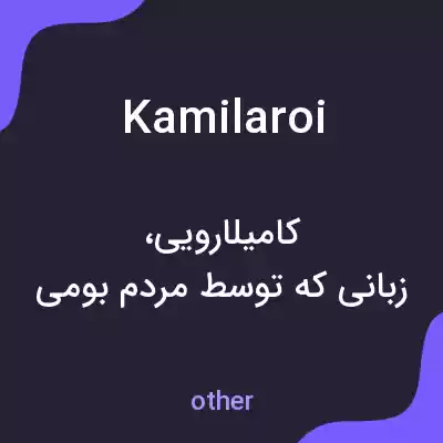 معنی kamilaroi به فارسی معنی kamilaroi به فارسی