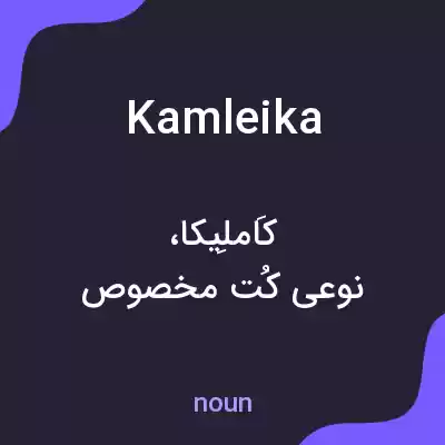 معنی kamleika به فارسی معنی kamleika به فارسی