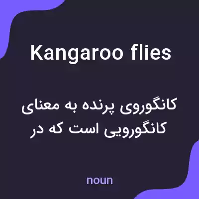 معنی kangaroo flies به فارسی معنی kangaroo flies به فارسی