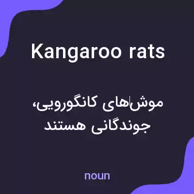 معنی kangaroo rats به فارسی معنی kangaroo rats به فارسی
