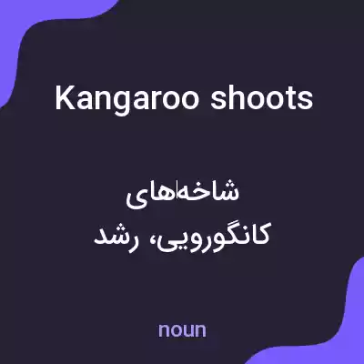 معنی kangaroo shoots به فارسی معنی kangaroo shoots به فارسی
