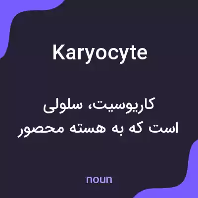 معنی karyocyte به فارسی معنی karyocyte به فارسی