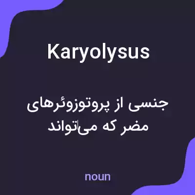 معنی karyolysus به فارسی معنی karyolysus به فارسی