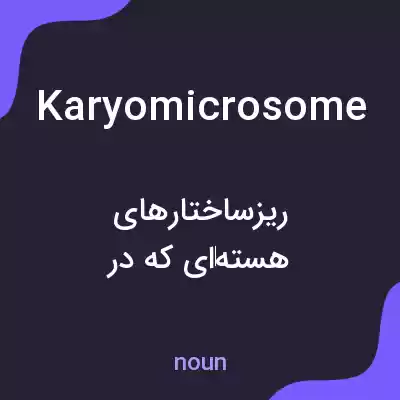 معنی karyomicrosome به فارسی معنی karyomicrosome به فارسی