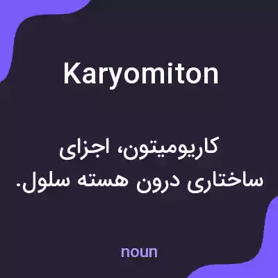 معنی karyomiton به فارسی معنی karyomiton به فارسی