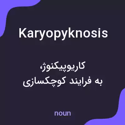 معنی karyopyknosis به فارسی معنی karyopyknosis به فارسی