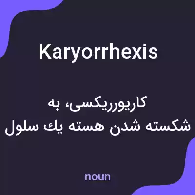 معنی karyorrhexis به فارسی معنی karyorrhexis به فارسی