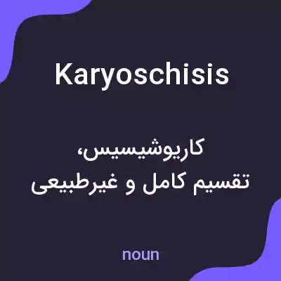 معنی karyoschisis به فارسی معنی karyoschisis به فارسی