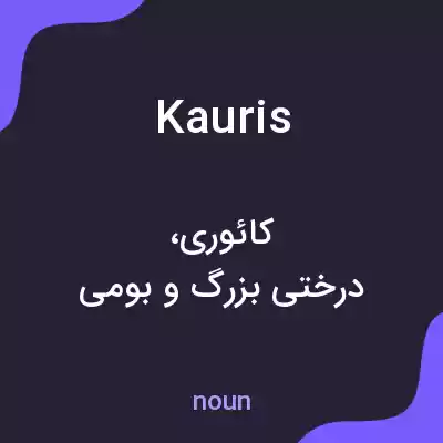 معنی kauris به فارسی معنی kauris به فارسی