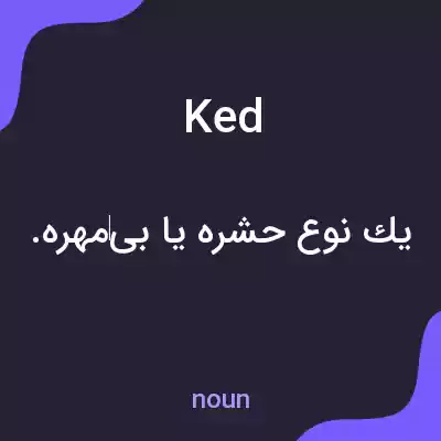 معنی ked به فارسی معنی ked به فارسی