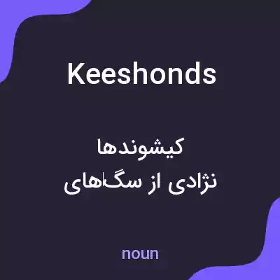 معنی keeshonds به فارسی
