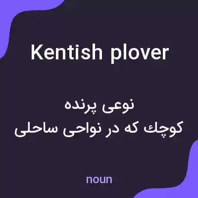 معنی kentish plover به فارسی معنی kentish plover به فارسی