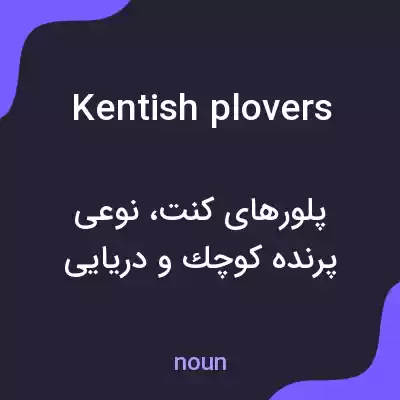 معنی kentish plovers به فارسی معنی kentish plovers به فارسی
