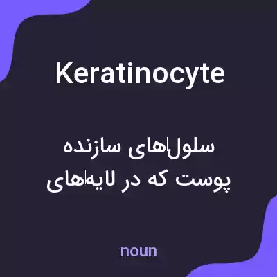 معنی keratinocyte به فارسی معنی keratinocyte به فارسی