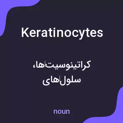 معنی keratinocytes به فارسی معنی keratinocytes به فارسی