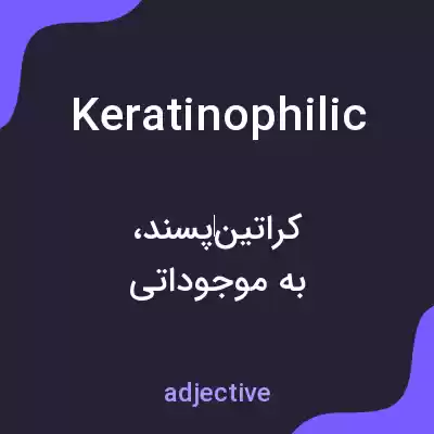 معنی keratinophilic به فارسی معنی keratinophilic به فارسی