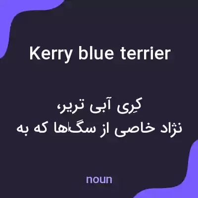 معنی kerry blue terrier به فارسی معنی kerry blue terrier به فارسی