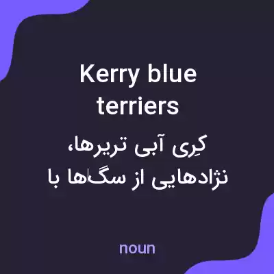 معنی kerry blue terriers به فارسی معنی kerry blue terriers به فارسی