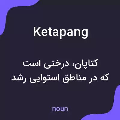 معنی ketapang به فارسی معنی ketapang به فارسی