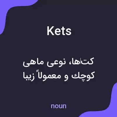 معنی kets به فارسی معنی kets به فارسی