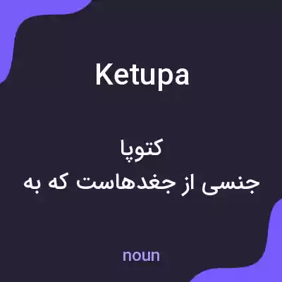 معنی ketupa به فارسی معنی ketupa به فارسی