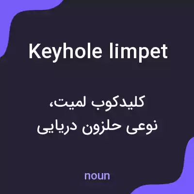 معنی keyhole limpet به فارسی معنی keyhole limpet به فارسی