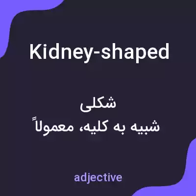 معنی kidney-shaped به فارسی معنی kidney-shaped به فارسی