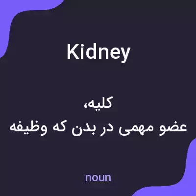 معنی kidney به فارسی معنی kidney به فارسی