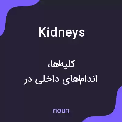 معنی kidneys به فارسی معنی kidneys به فارسی