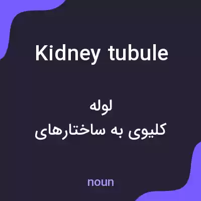 معنی kidney tubule به فارسی معنی kidney tubule به فارسی