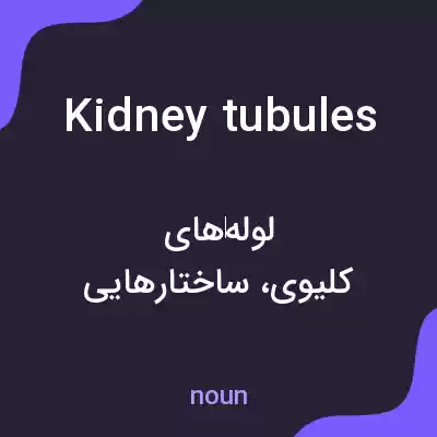 معنی kidney tubules به فارسی معنی kidney tubules به فارسی