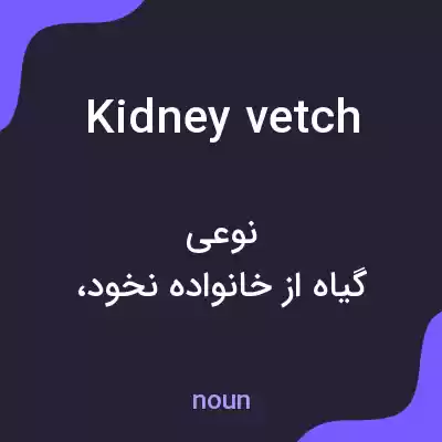 معنی kidney vetch به فارسی معنی kidney vetch به فارسی