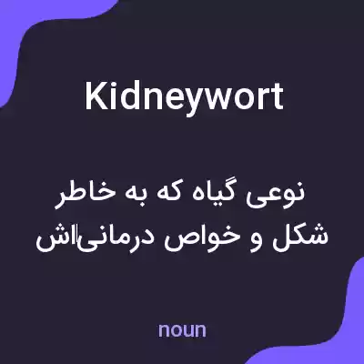 معنی kidneywort به فارسی معنی kidneywort به فارسی