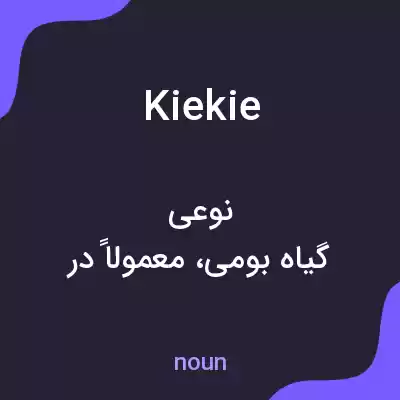 معنی kiekie به فارسی معنی kiekie به فارسی