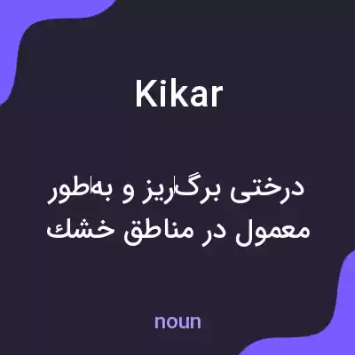 معنی kikar به فارسی معنی kikar به فارسی