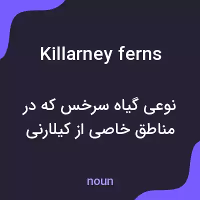 معنی killarney ferns به فارسی معنی killarney ferns به فارسی