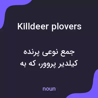 معنی killdeer plovers به فارسی معنی killdeer plovers به فارسی