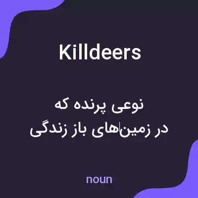 معنی killdeers به فارسی معنی killdeers به فارسی