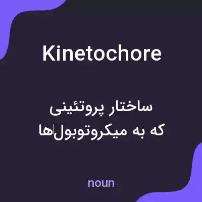 معنی kinetochore به فارسی معنی kinetochore به فارسی