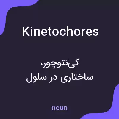 معنی kinetochores به فارسی معنی kinetochores به فارسی