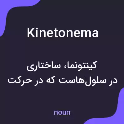 معنی kinetonema به فارسی معنی kinetonema به فارسی