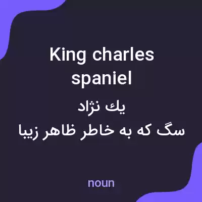 معنی king charles spaniel به فارسی معنی king charles spaniel به فارسی