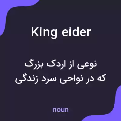 معنی king eider به فارسی معنی king eider به فارسی