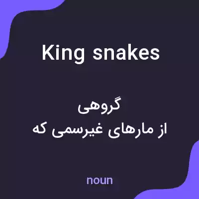 معنی kingsnakes به فارسی معنی kingsnakes به فارسی