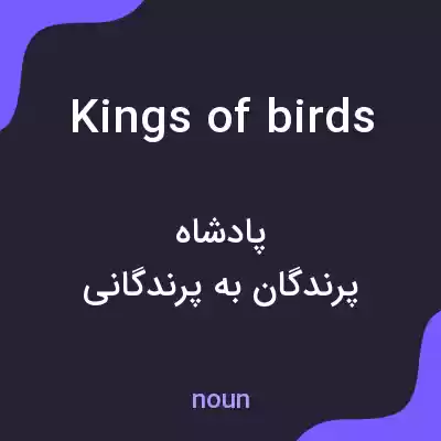 معنی kings of birds به فارسی معنی kings of birds به فارسی
