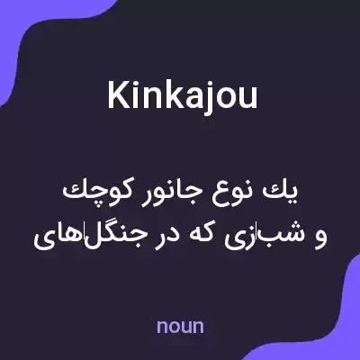 معنی kinkajou به فارسی