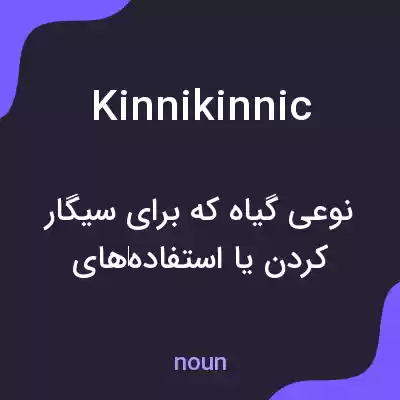 معنی kinnikinnic به فارسی معنی kinnikinnic به فارسی