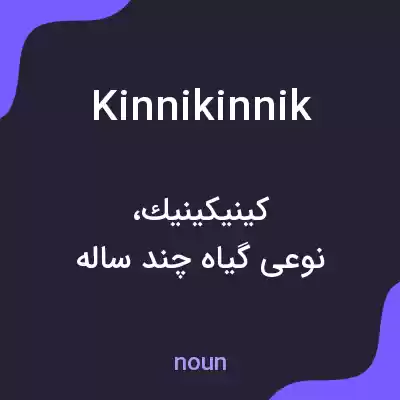 معنی kinnikinnik به فارسی معنی kinnikinnik به فارسی