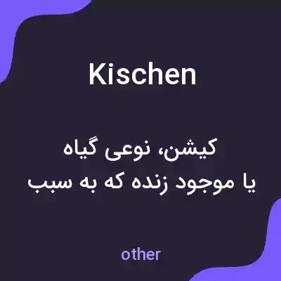 معنی kischen به فارسی معنی kischen به فارسی