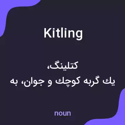 معنی kitling به فارسی معنی kitling به فارسی